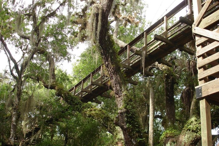 マイアッカ州立公園 Eバイク サファリ | wizardtrip
