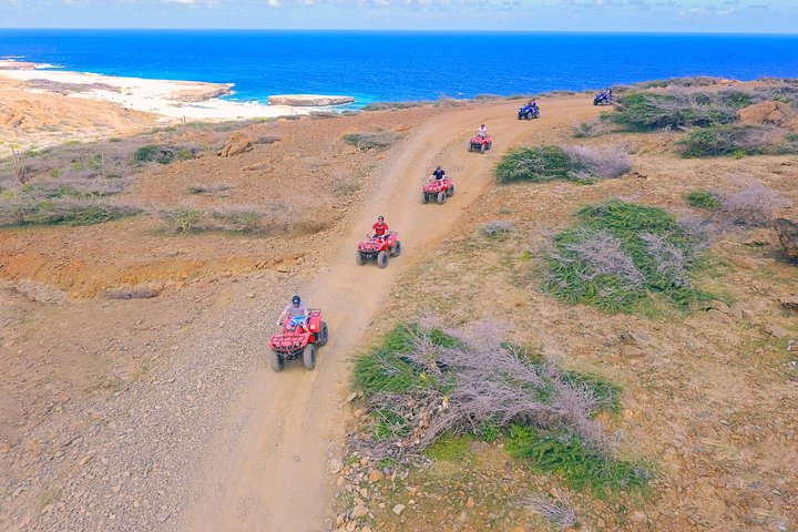 Vivi un'emozionante avventura ATV attraverso i diversi paesaggi di Aruba, dalle meraviglie naturali ai siti storici, foto 9 | wizardtrip