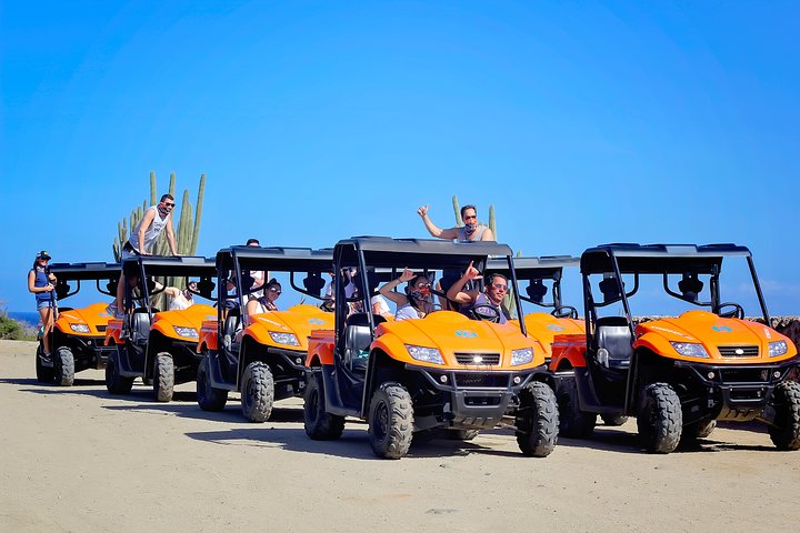 Aventure UTV à Aruba : Jardin des animaux, côte nord et plage d'Andicuri | wizardtrip
