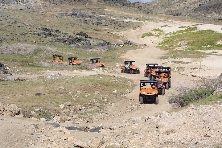 Erkunden Sie Arubas Nordküste mit dem UTV, besuchen Sie Tiergärten, Strände und Naturdenkmäler, Foto 3 | wizardtrip