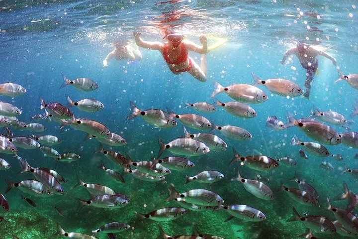 Aventura de caiaque e snorkeling explorando grutas marinhas e a costa selvagem de Pula, Croácia, foto 18 | wizardtrip