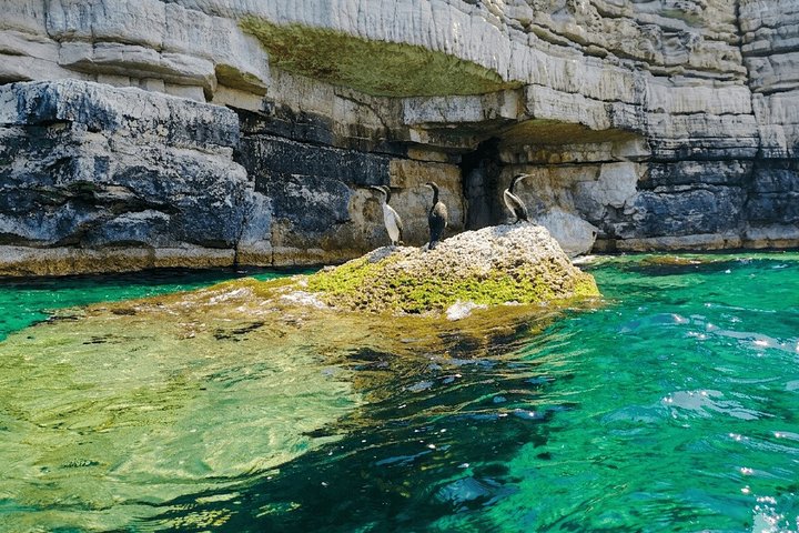 Aventura de caiaque e snorkeling explorando grutas marinhas e a costa selvagem de Pula, Croácia, foto 29 | wizardtrip