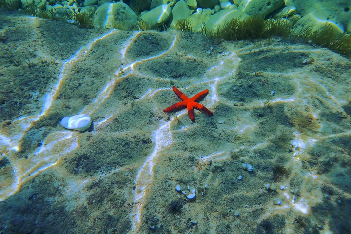 Aventura de caiaque e snorkeling explorando grutas marinhas e a costa selvagem de Pula, Croácia, foto 32 | wizardtrip