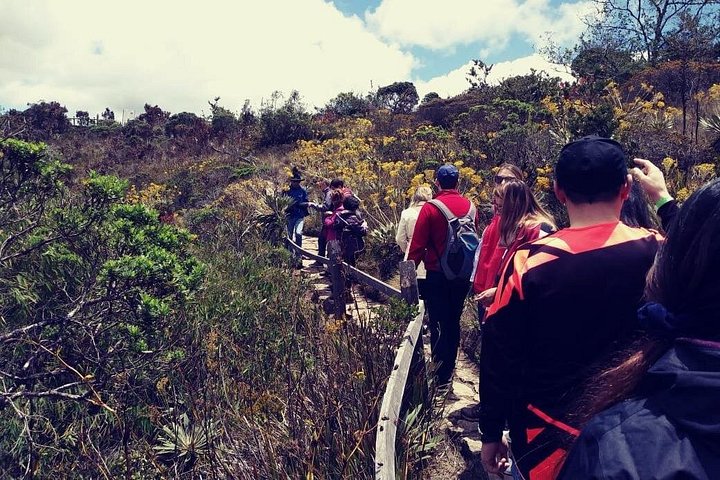 Utforska Guatavitasjön och Zipaquirá Saltkatedral på en dagsutflykt från Bogotá, foto 10 | wizardtrip