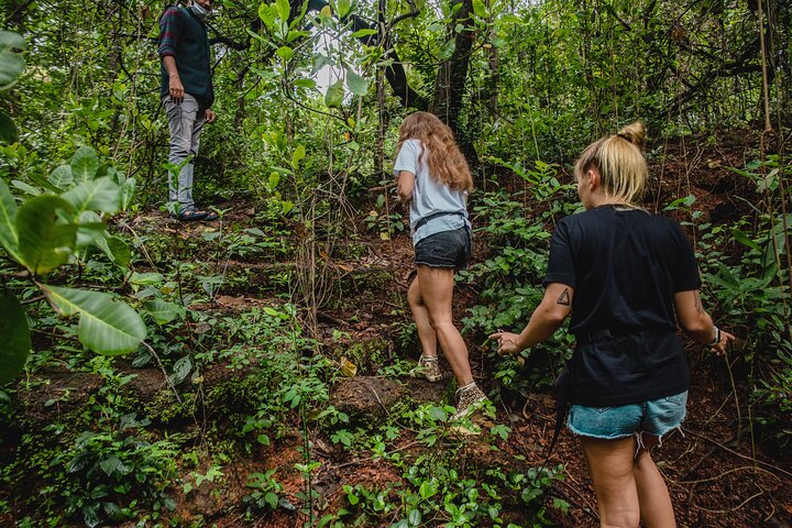 Full-day nature, heritage, and cooking tour on Chorao Island, Goa, India, photo 10 | wizardtrip