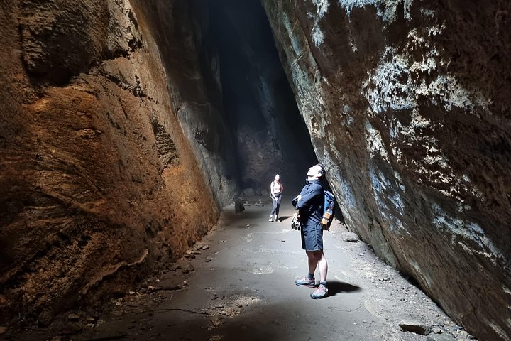 Utforska Rios Tijuca-skog med vandringar till toppar, grottor och vattenfall, och se vilda djur, foto 12 | wizardtrip
