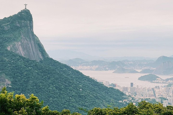 Utforska Rios Tijuca-skog med vandringar till toppar, grottor och vattenfall, och se vilda djur, foto 24 | wizardtrip