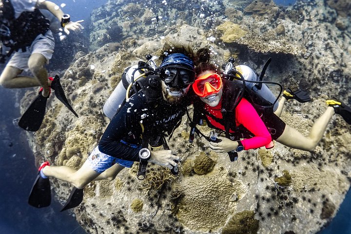 Open Water Cursus - Word in 3 Dagen een Gecertificeerd Duiker | wizardtrip
