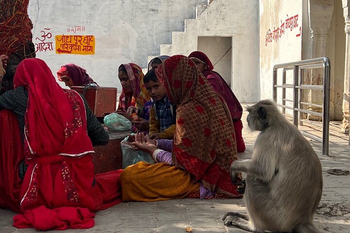 Udforsk den spirituelle by Pushkar på en vandretur, besøg templer, ghats og lokale markeder, foto 8 | wizardtrip