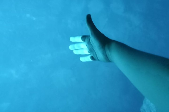 Tour in motoscafo di lusso da Spalato alla Grotta Azzurra, Hvar e Vis, con nuoto e visite turistiche, foto 7 | wizardtrip