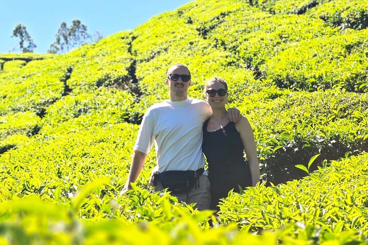 Naturskjønn fottur i Munnar, India, med teplantasjer og panoramautsikt, foto 10 | wizardtrip