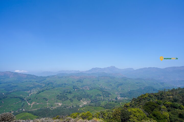 Naturskjønn fottur i Munnar, India, med teplantasjer og panoramautsikt, foto 11 | wizardtrip