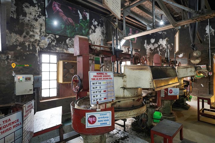 Experience a tea plantation walk and factory tour in Munnar, India, photo 18 | wizardtrip