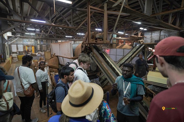 Experience a tea plantation walk and factory tour in Munnar, India, photo 21 | wizardtrip