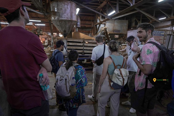 Experience a tea plantation walk and factory tour in Munnar, India, photo 22 | wizardtrip