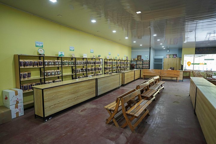Experience a tea plantation walk and factory tour in Munnar, India, photo 24 | wizardtrip