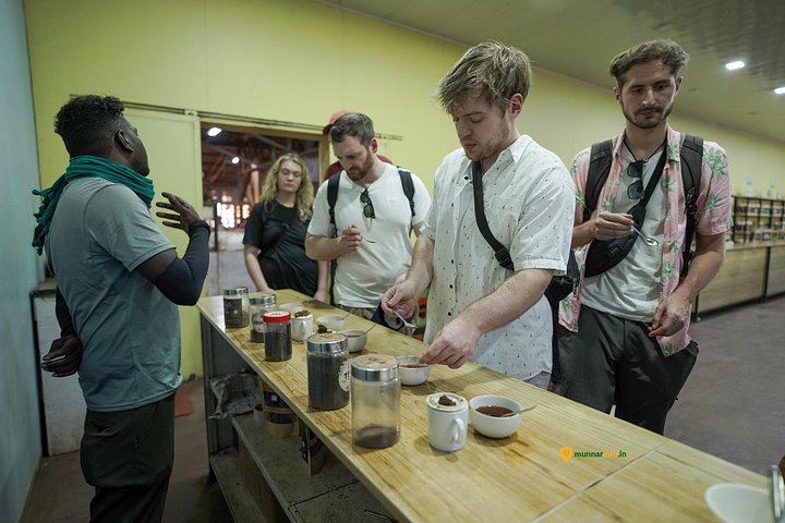 Experience a tea plantation walk and factory tour in Munnar, India, photo 26 | wizardtrip