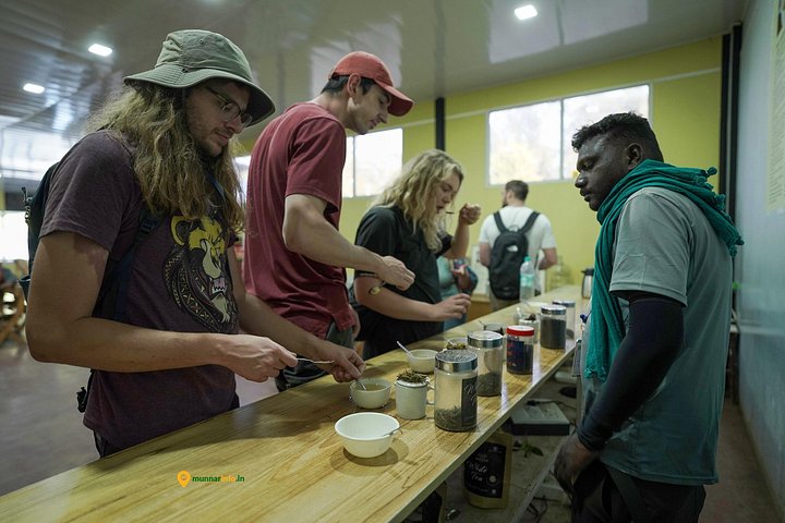 Experience a tea plantation walk and factory tour in Munnar, India, photo 27 | wizardtrip