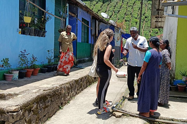 Scopri il tour della vita degli elefanti selvatici ad Anakulam, Munnar, con viste panoramiche e cultura locale, foto 6 | wizardtrip