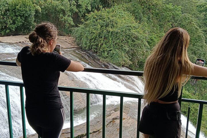 Scopri il tour della vita degli elefanti selvatici ad Anakulam, Munnar, con viste panoramiche e cultura locale, foto 10 | wizardtrip
