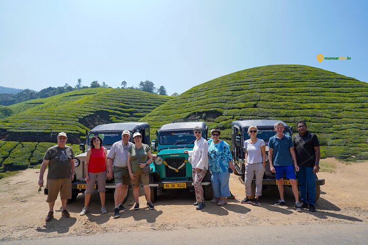 Scopri il tour della vita degli elefanti selvatici ad Anakulam, Munnar, con viste panoramiche e cultura locale, foto 11 | wizardtrip