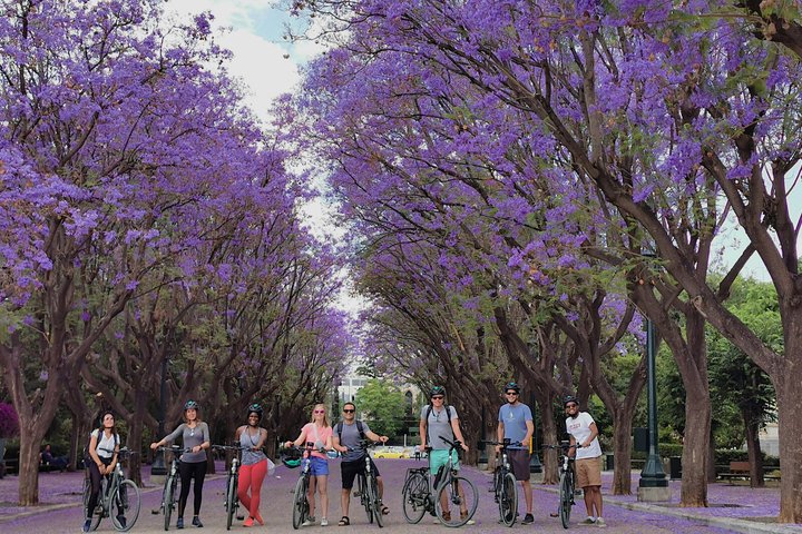 Erkunde Athens antike Stätten und charmante Straßen auf einer malerischen Radtour, Foto 8 | wizardtrip