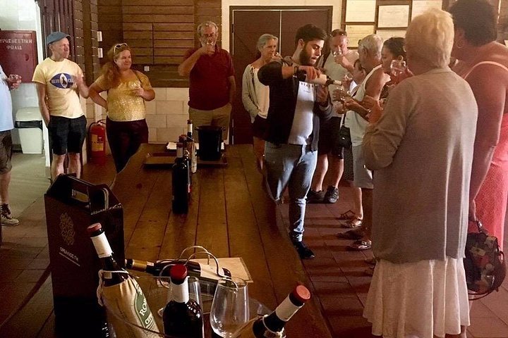 Heldagstur på Kefalonia, Grekland, med vinprovning, grottor och byar, foto 18 | wizardtrip