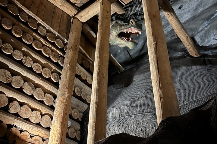 Guidet tur i den historiske Wieliczka Saltmine fra Krakow, med underjordiske kamre og unikke saltfigurer, foto 7 | wizardtrip