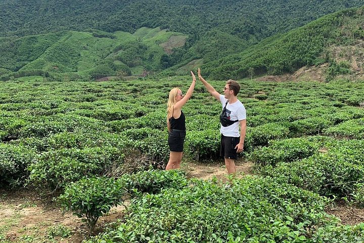 Scenic motorbike tour along Vietnam's coast and countryside, featuring Hai Van Pass and cultural sites, photo 10 | wizardtrip