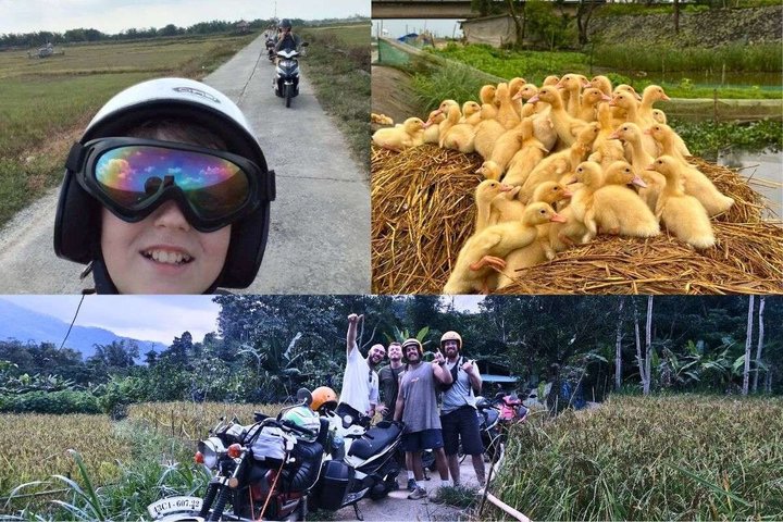 Scenic motorbike tour along Vietnam's coast and countryside, featuring Hai Van Pass and cultural sites, photo 22 | wizardtrip