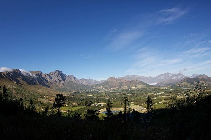 Privat vintur i Cape Winelands, Sør-Afrika, foto 7 | wizardtrip