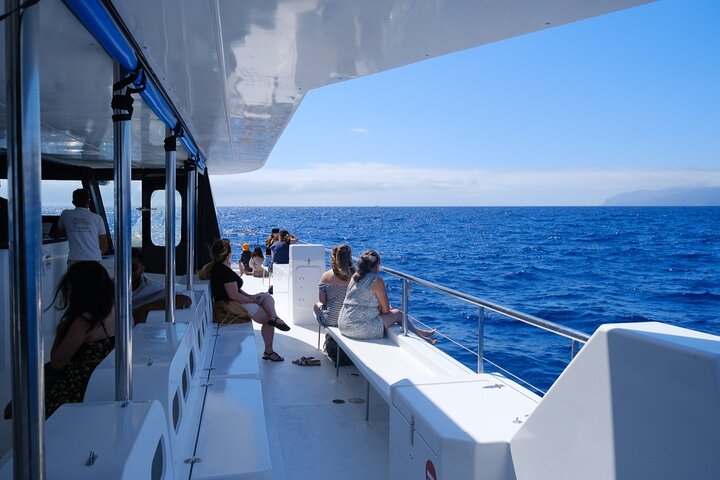 Eco-friendly catamaran tour for dolphin and whale watching off the coast of Funchal, Madeira, photo 6 | wizardtrip