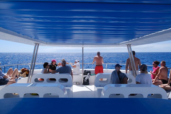 Eco-friendly catamaran tour for dolphin and whale watching off the coast of Funchal, Madeira, photo 7 | wizardtrip