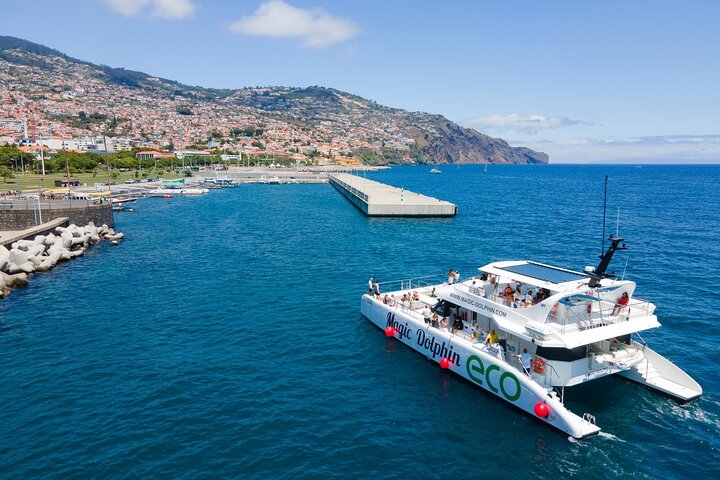 Eco-friendly catamaran tour for dolphin and whale watching off the coast of Funchal, Madeira, photo 13 | wizardtrip