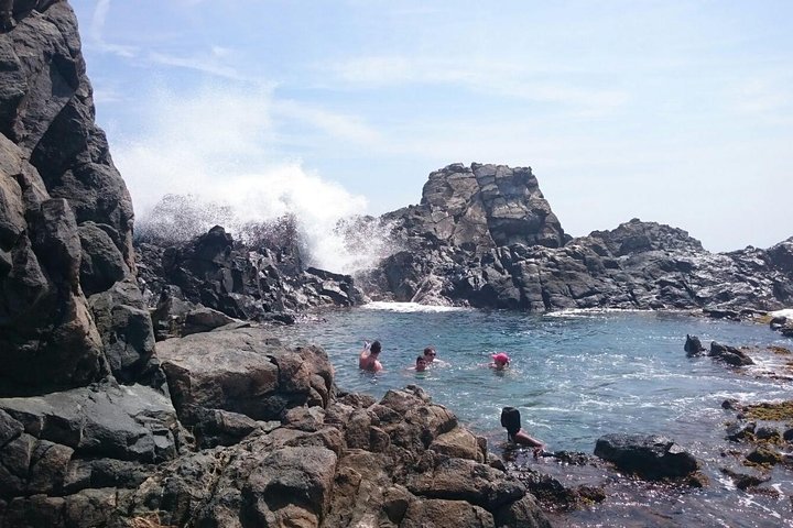 Hästridningstur genom Arikok Nationalpark till Arubas Naturliga Pool, foto 13 | wizardtrip