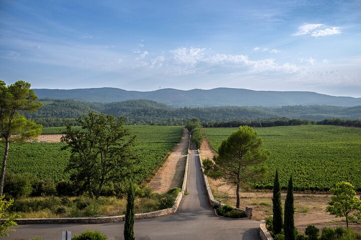 Tournée des Vins de Provence - Tour en petit groupe depuis Nice | wizardtrip