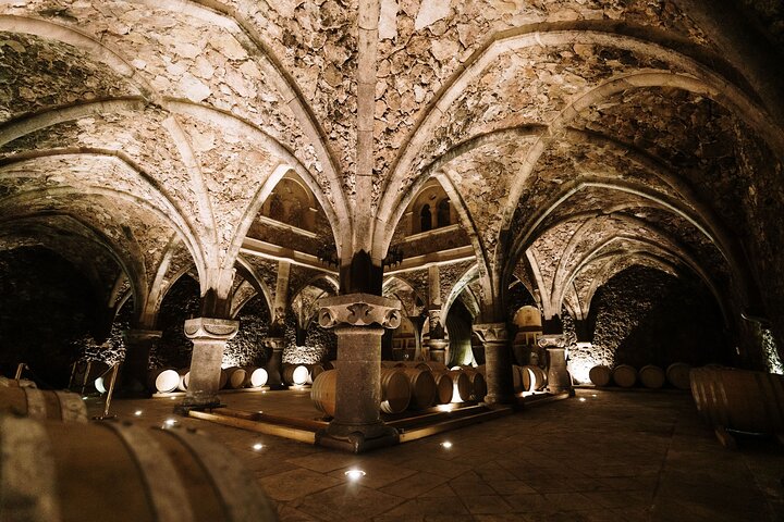 ニース発プロヴァンスの小グループワインツアー、ブドウ園訪問と地元ワインのテイスティング、写真16 | wizardtrip