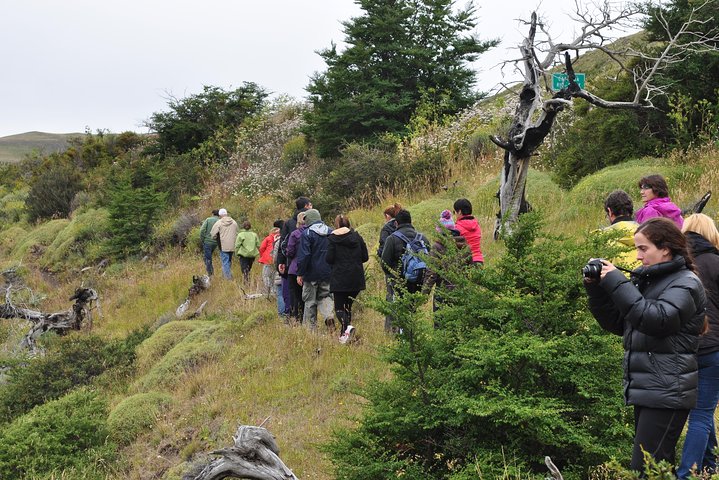Passeio overland 4x4 de dia inteiro a Torres del Paine a partir de El Calafate, com paisagens e vida selvagem deslumbrantes, foto 7 | wizardtrip