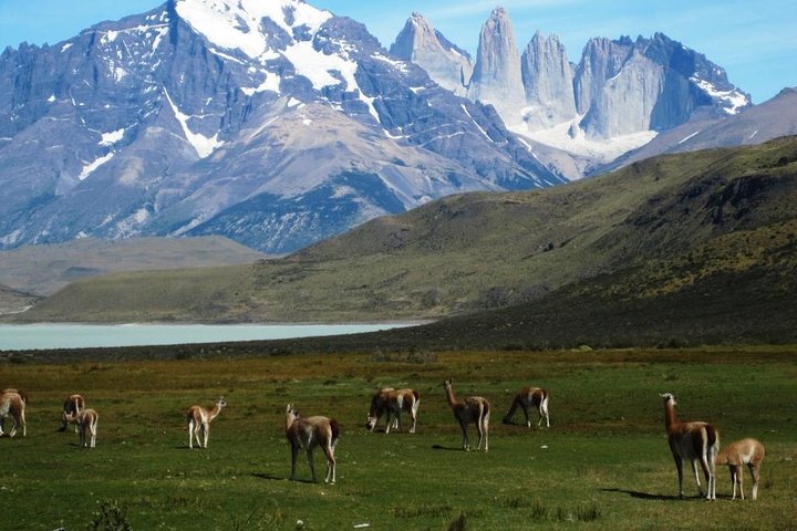 Passeio overland 4x4 de dia inteiro a Torres del Paine a partir de El Calafate, com paisagens e vida selvagem deslumbrantes, foto 15 | wizardtrip