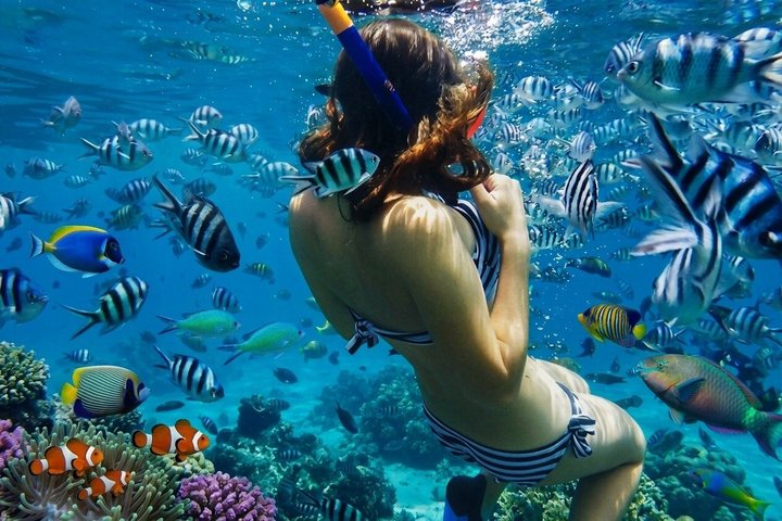 Privé Bali Blue Lagoon Snorkelen met All-Inclusive Tour | wizardtrip