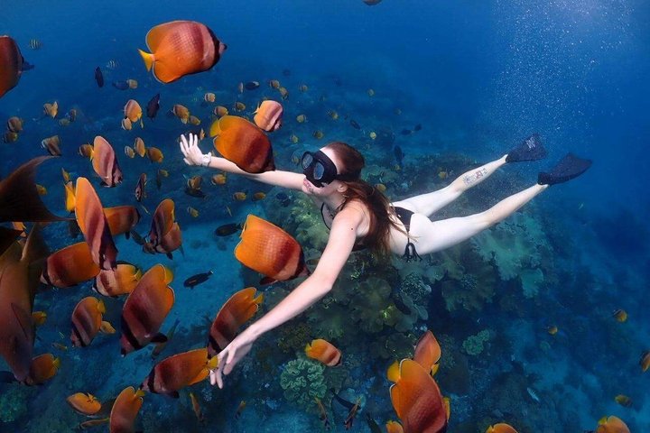 Tour privé de snorkeling et de cascades à Bali, Indonésie, avec le Blue Lagoon et des paysages tropicaux, photo 7 | wizardtrip