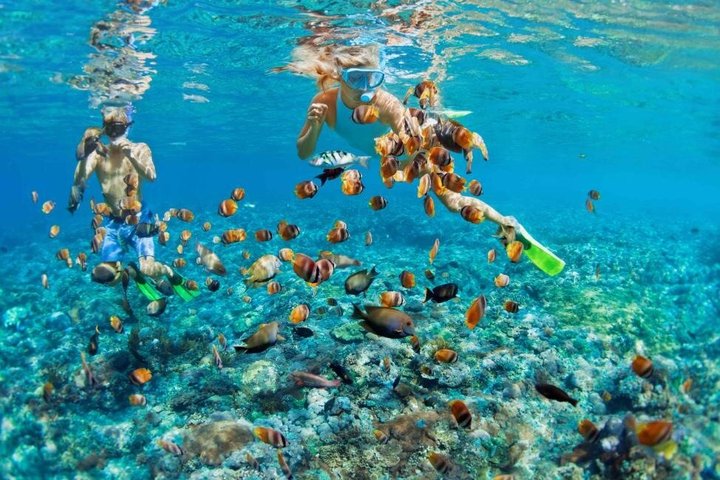 Tour privé de snorkeling et de cascades à Bali, Indonésie, avec le Blue Lagoon et des paysages tropicaux, photo 9 | wizardtrip