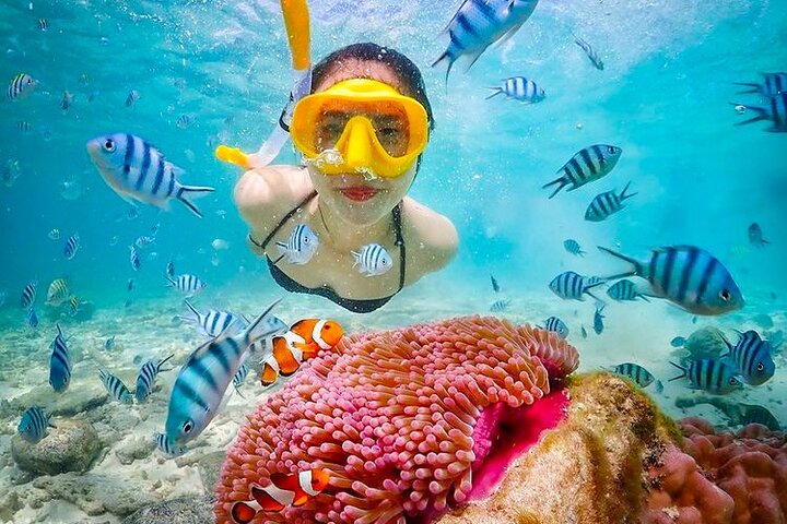 Tour privé de snorkeling et de cascades à Bali, Indonésie, avec le Blue Lagoon et des paysages tropicaux, photo 11 | wizardtrip