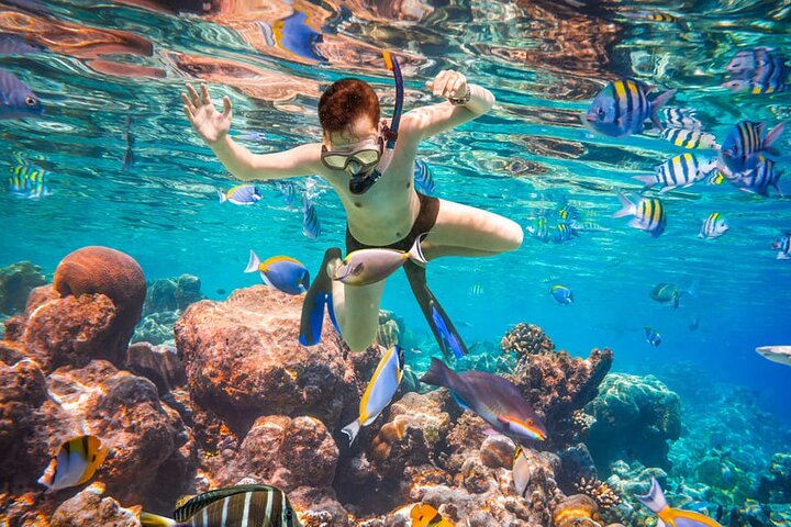 Tour privé de snorkeling et de cascades à Bali, Indonésie, avec le Blue Lagoon et des paysages tropicaux, photo 12 | wizardtrip