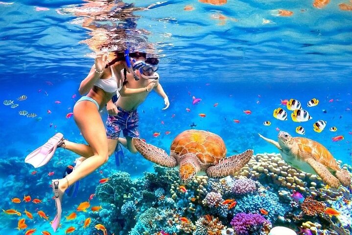Tour privé de snorkeling et de cascades à Bali, Indonésie, avec le Blue Lagoon et des paysages tropicaux, photo 13 | wizardtrip