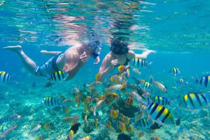 Tour privé de snorkeling et de cascades à Bali, Indonésie, avec le Blue Lagoon et des paysages tropicaux, photo 14 | wizardtrip