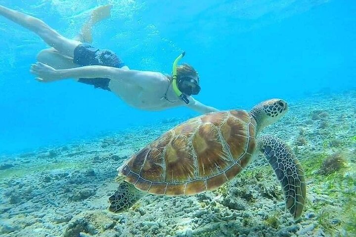 Tour privé de snorkeling et de cascades à Bali, Indonésie, avec le Blue Lagoon et des paysages tropicaux, photo 16 | wizardtrip