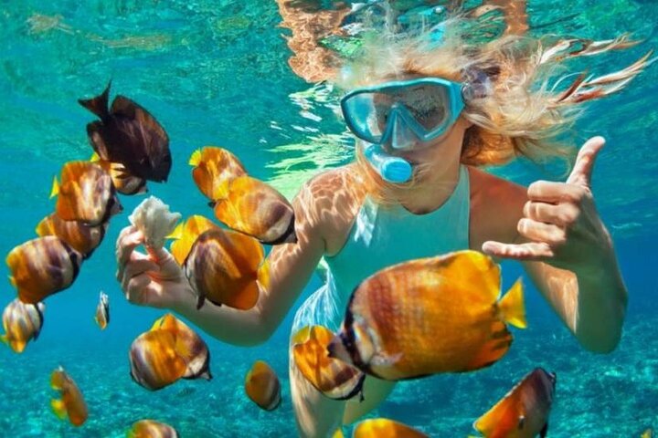 Tour privé de snorkeling et de cascades à Bali, Indonésie, avec le Blue Lagoon et des paysages tropicaux, photo 20 | wizardtrip