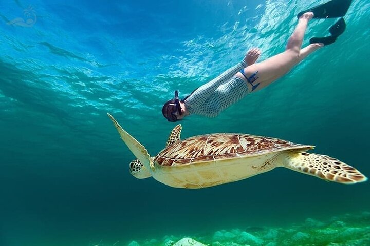 Tour privé de snorkeling et de cascades à Bali, Indonésie, avec le Blue Lagoon et des paysages tropicaux, photo 21 | wizardtrip