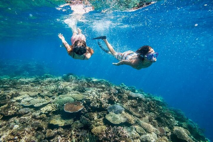 Tour privé de snorkeling et de cascades à Bali, Indonésie, avec le Blue Lagoon et des paysages tropicaux, photo 23 | wizardtrip